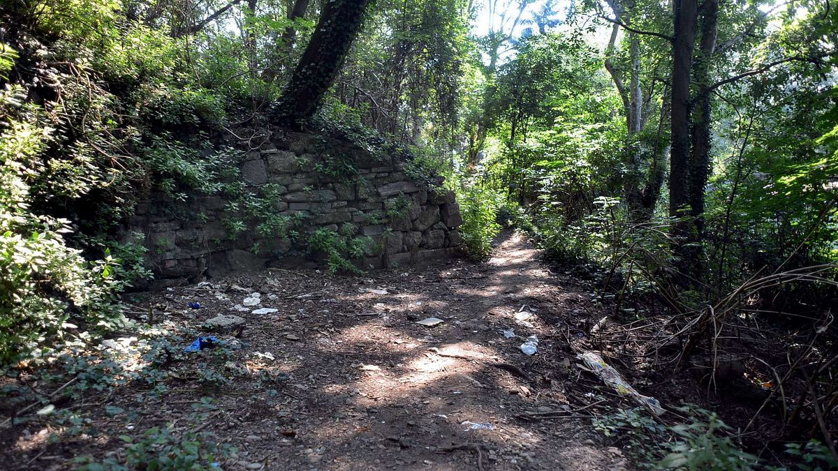 Frosinone, trovati resti umani nel "bosco degli orrori": in passato due cadaveri