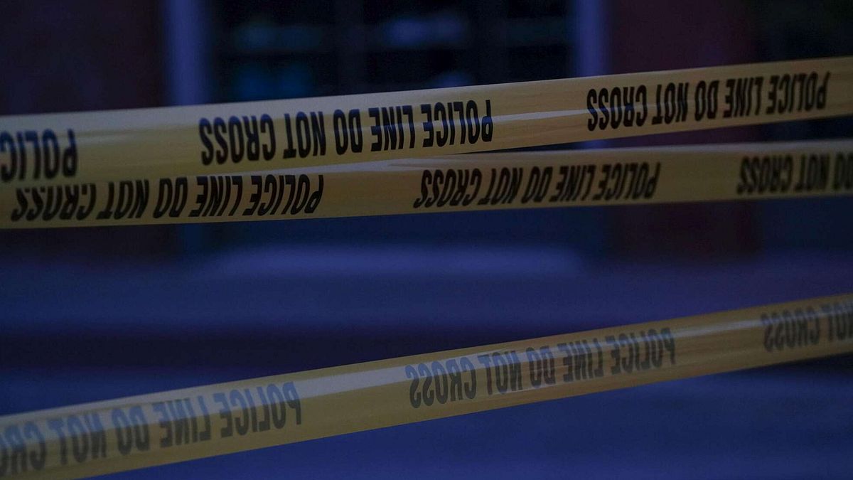Usa, uccide la madre e si suicida: "Paranoie alimentate da ChatGpt"