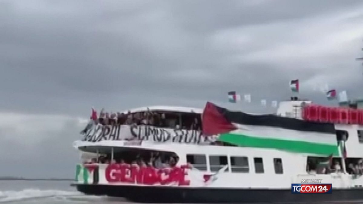 Le proteste Pro Pal arrivano al festival di Venezia