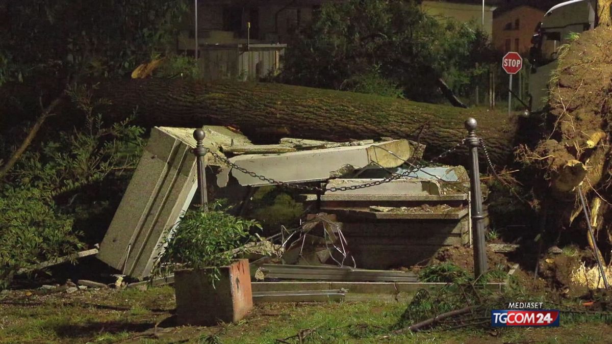Maltempo nel Veronese, pioggia e vento "come un urugano" su San Bonifacio