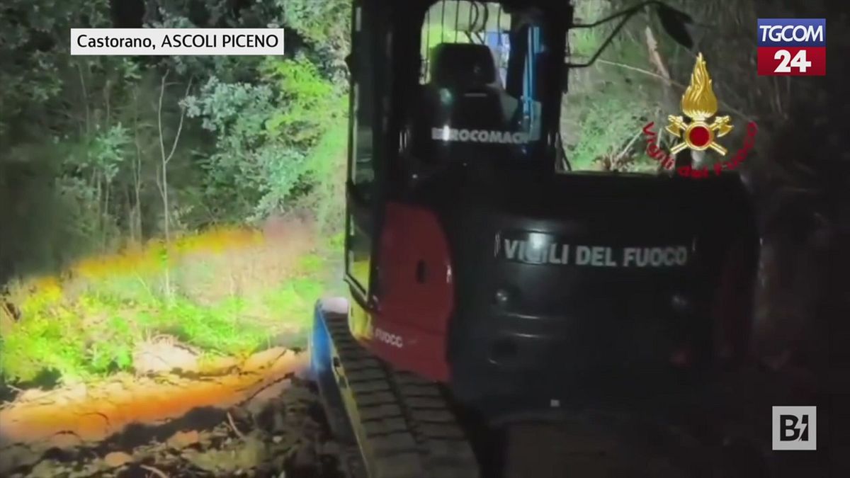 Ascoli Piceno, i cavalli finiscono nel burrone: intervengono i vigili del fuoco (con un escavatore)
