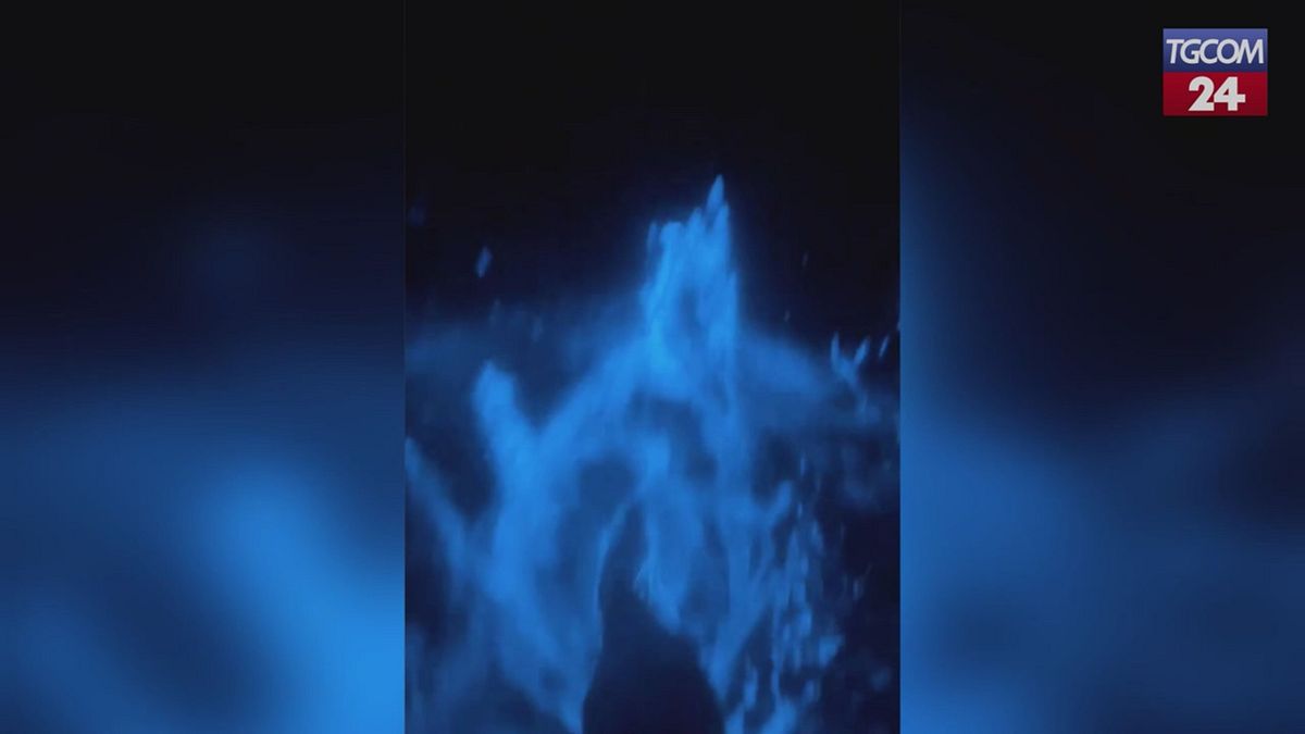 Melbourne, il mare si accende di una "magica" luce blu