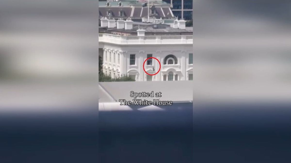 "Qualcuno ha lanciato un oggetto dalla finestra dalla Casa Bianca" | Trump: "Impossibile, è AI"