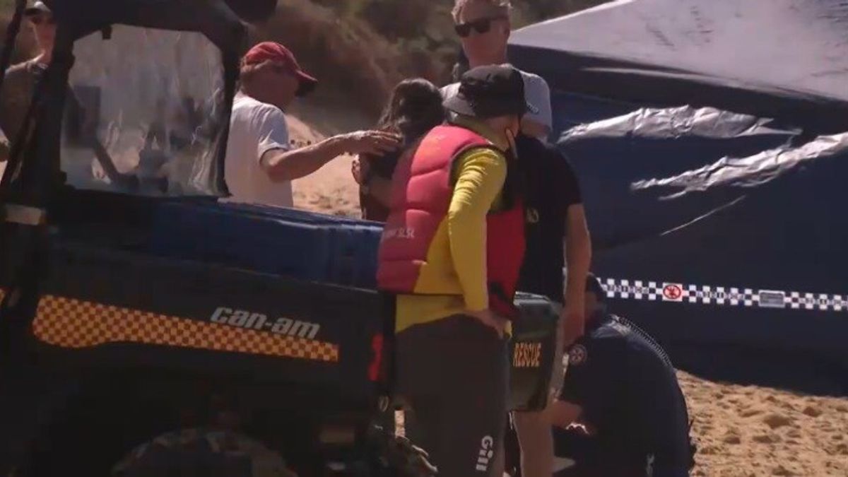 Squalo uccide un surfista a Sydney