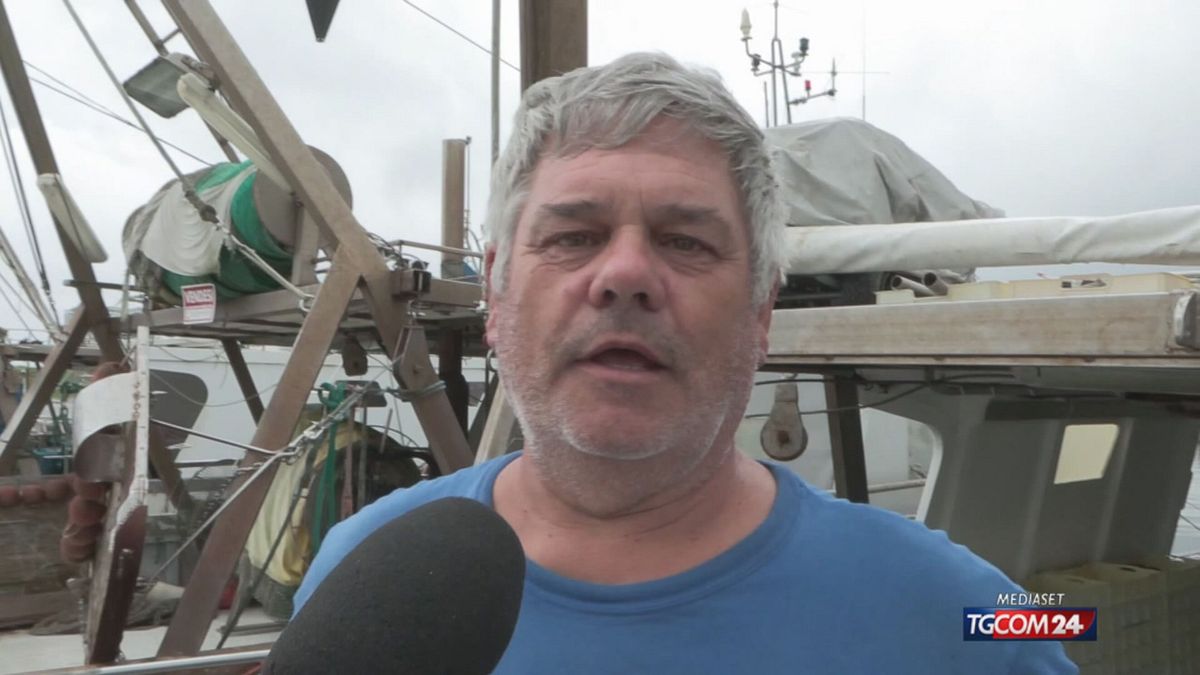 Cannolicchi distesi sui lidi ferraresi, i pescatori: "Non possiamo prenderli, una beffa"