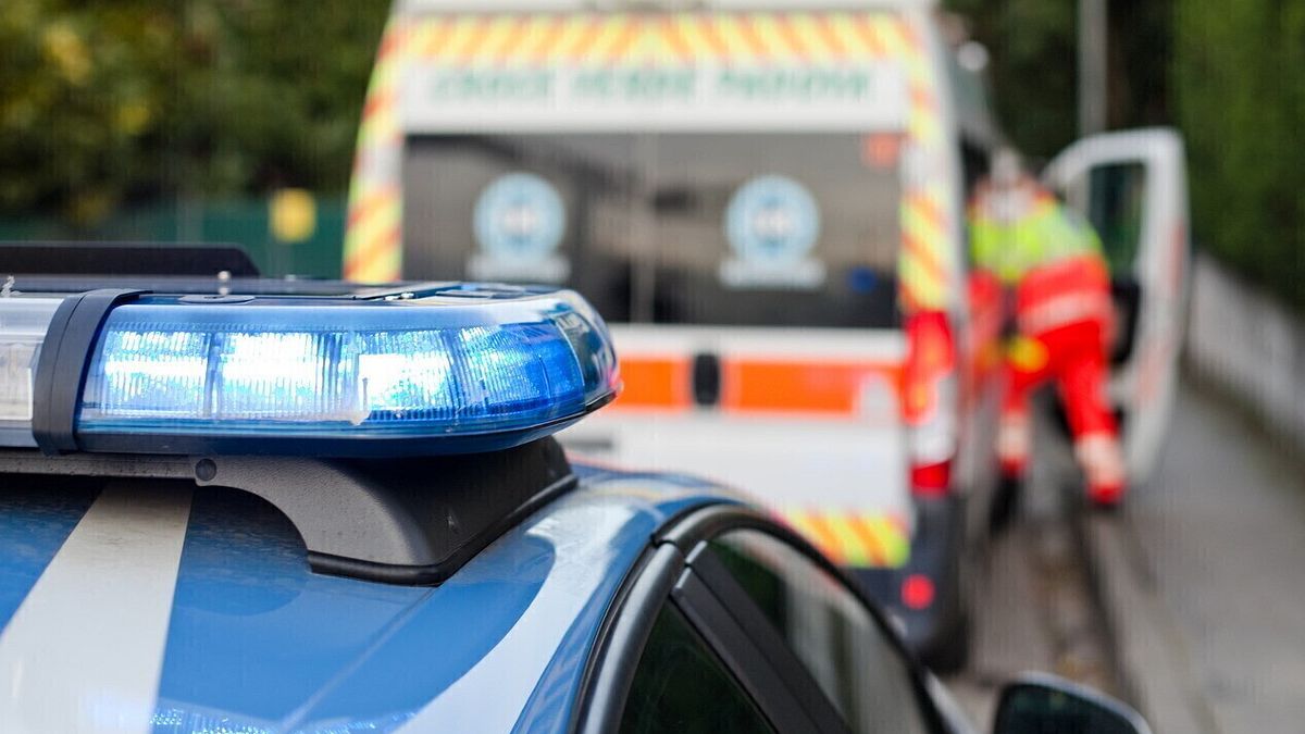 Bologna, inseguito dalla polizia si schianta in auto contro un palo: morto 18enne