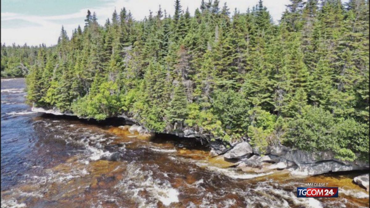 Alaska, le acque del fiume Salmon si colorano d