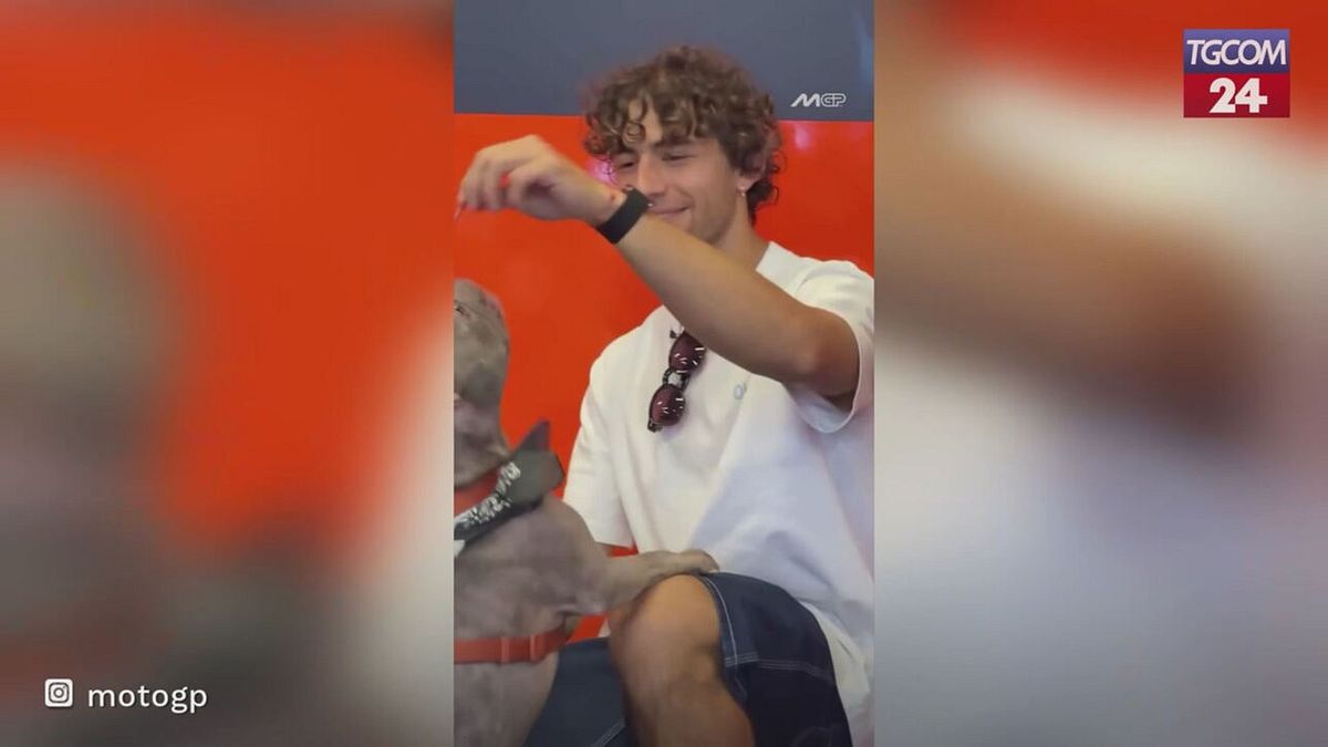 enea bastianini si rilassa con il suo cane prima del gp di san marino