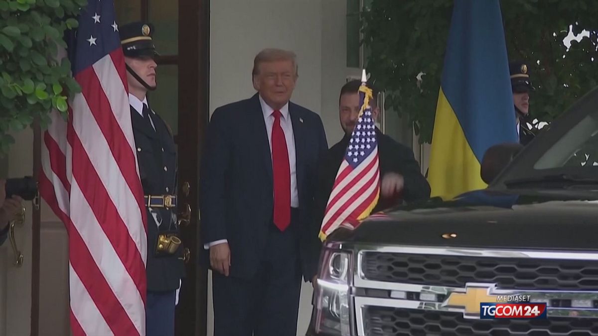 zelensky vedr224 trump a new york