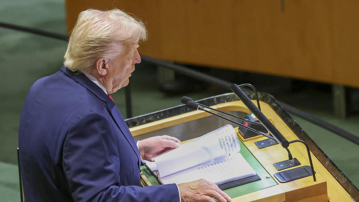 Trump all