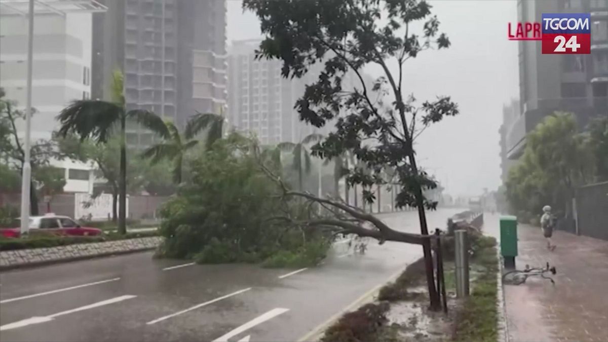 hong kong super tifone ragasa si abbatte sul lungomare immagini impressionanti
