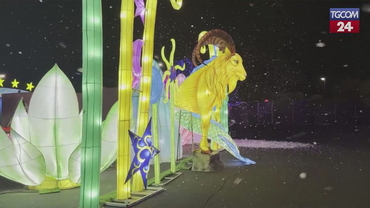 California, luci, colori e magia notturna: l