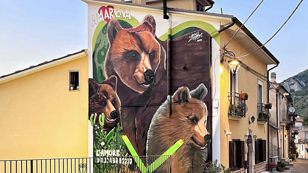 uccise l orsa amarena rinviato a giudizio processo a gennaio