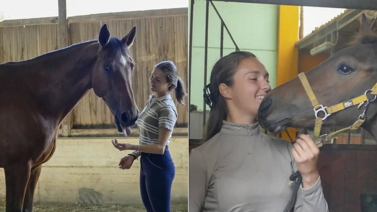 muore a 24 anni cadendo da cavallo durante il lavoro tragedia in un allevamento nel biellese