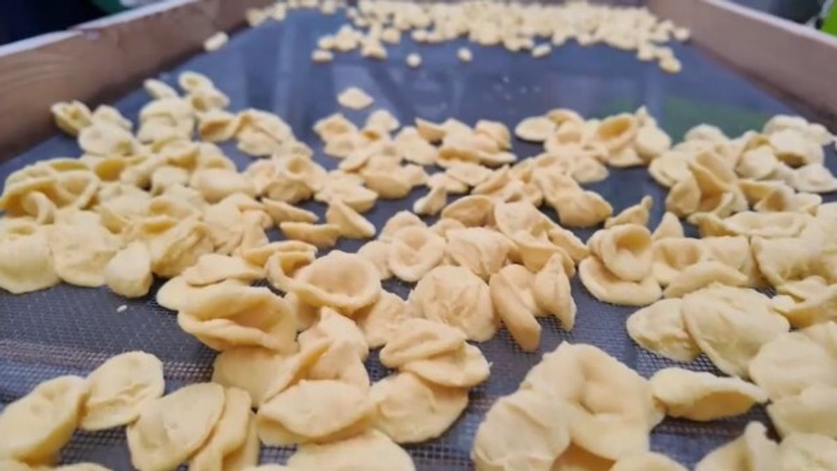 La battaglia delle massaie pugliesi "conquista" anche l