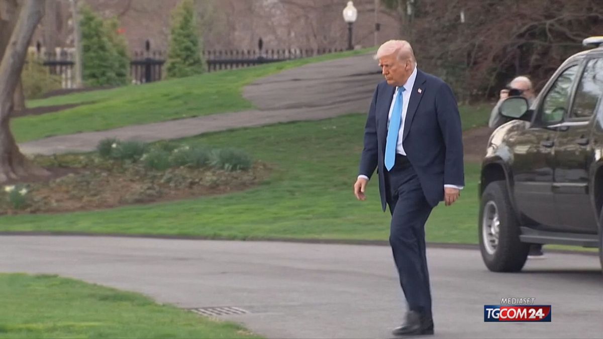 dazi nel mirino di trump ora c 232 anche il cinema