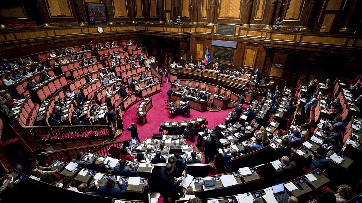 Vücut Shaming'e Karşı Ulusal Gün, Senato DDL'de Tamam
