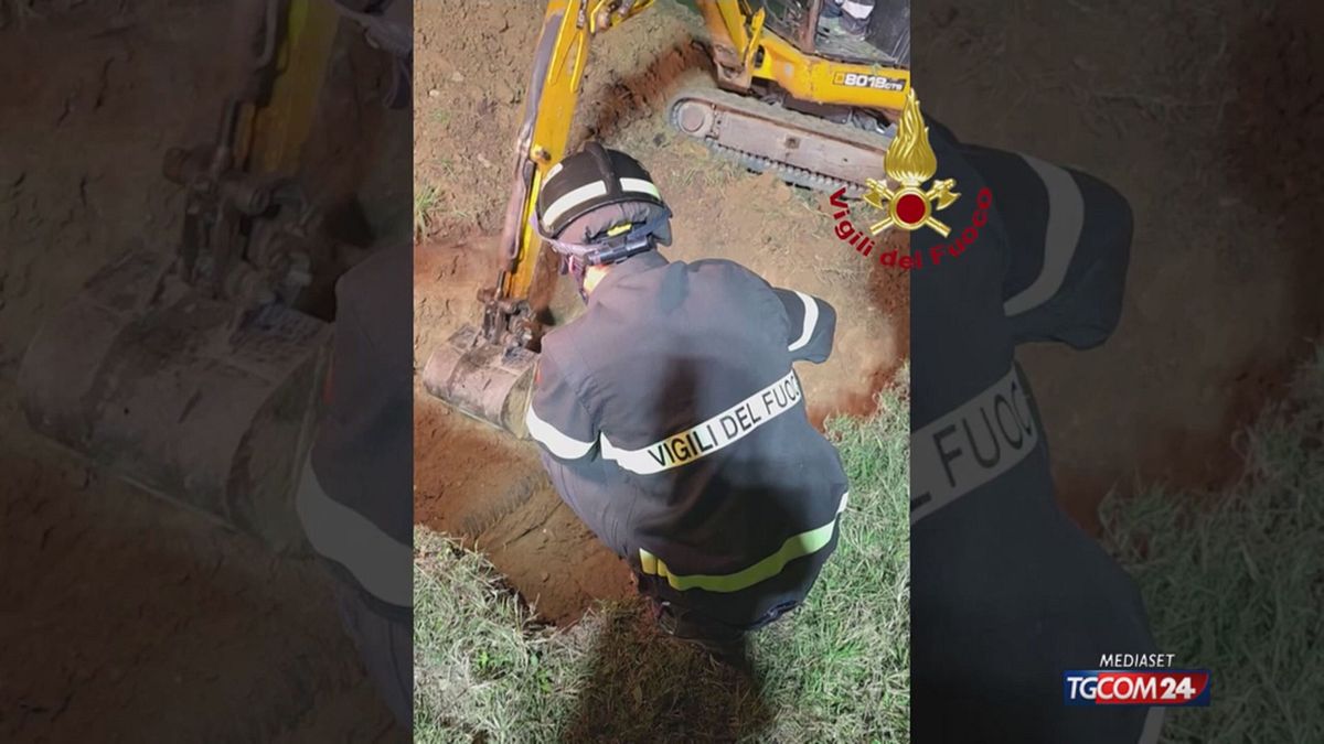Firenze, cane intrappolato in un tubo sotto terra: salvato