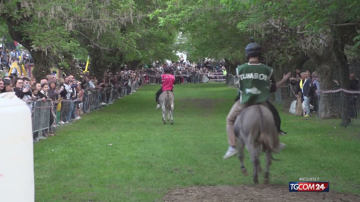 Bereguardo (Pavia), animalisti contro il palio degli asini