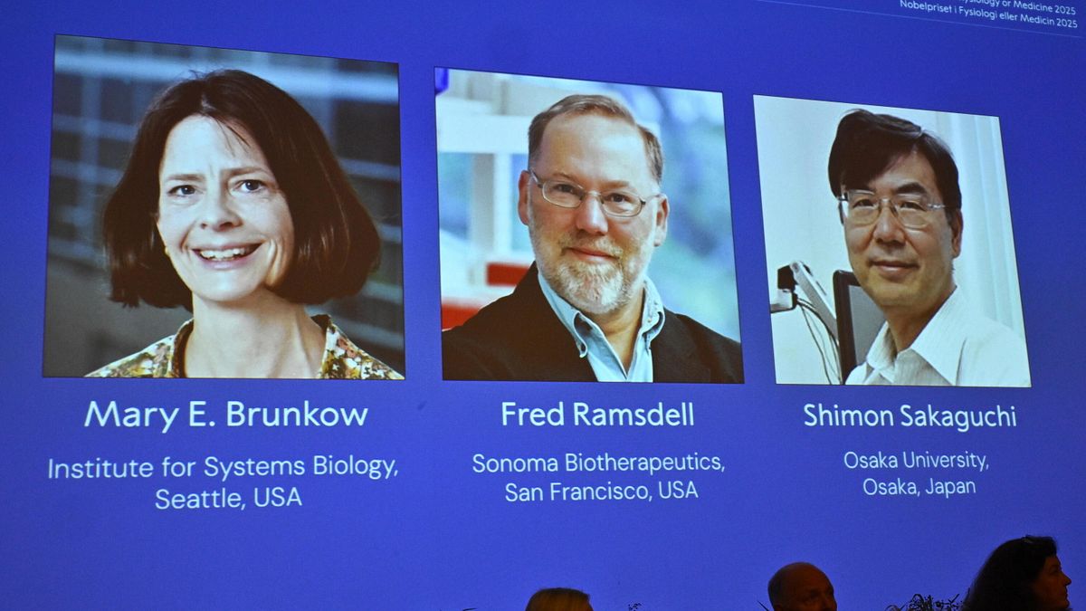 premio nobel per la medicina 2025 a brunkow ramsdell e sakaguchi per le scoperte sul sistema immunitario