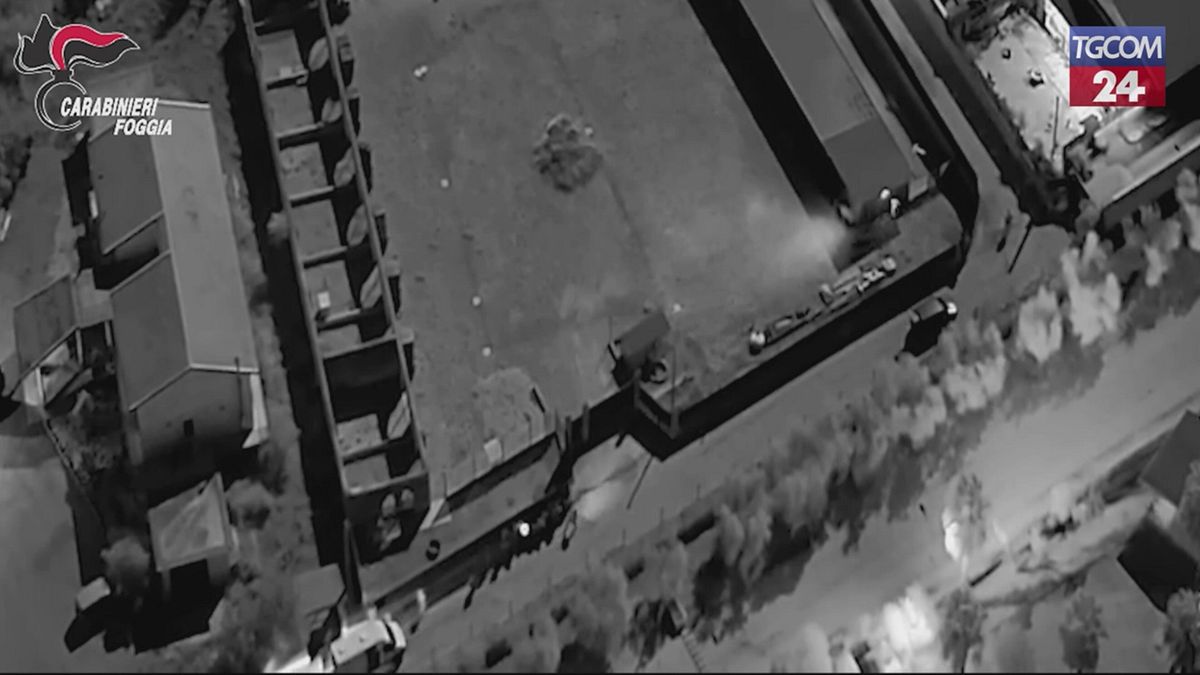 foggia irruzione nel covo del boss gesualdo le immagini dal drone