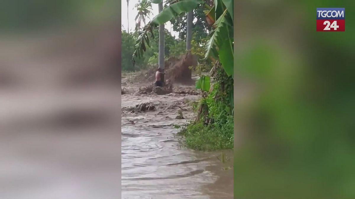 filippine uomo si aggrappa a un albero durante un alluvione