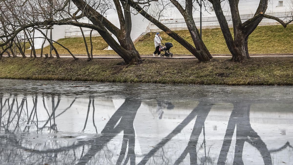 torino passeggino scivola dalle mani della nonna e cade sul greto del fiume bimbo grave