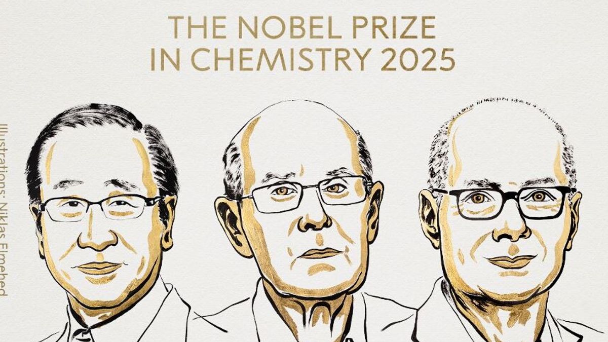 nobel per la chimica 2025 a kitagawa robson e yaghi
