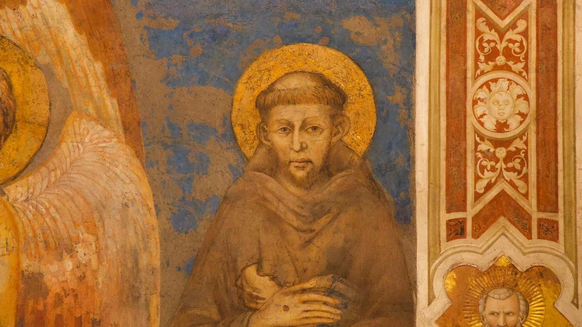Saint Francis ulusal bayramı, yasa çıktı: kritik konular