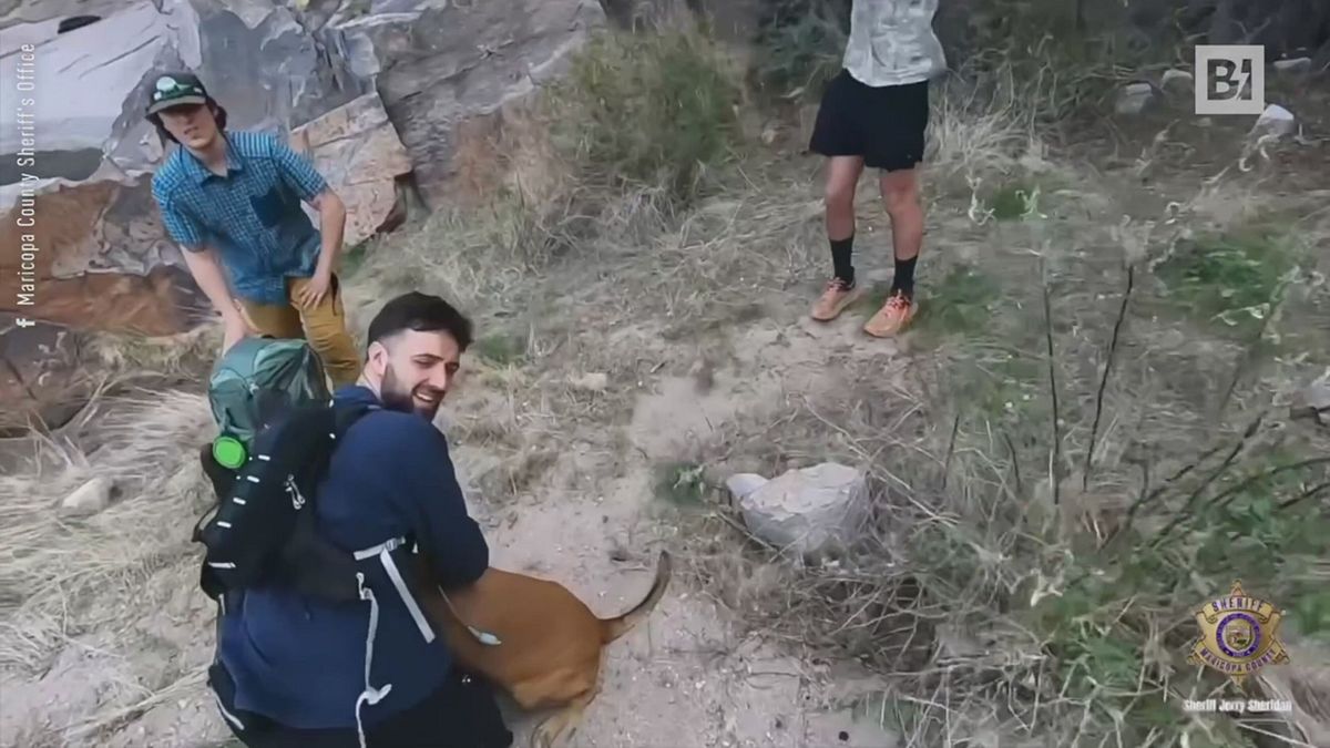 arizona cane si fa male durante un escursione con i padroni soccorso con un elicottero