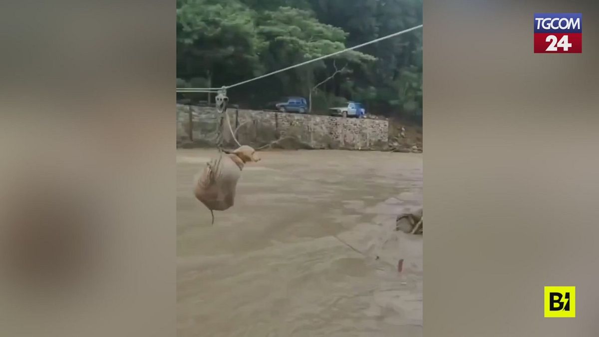 Alluvione in Messico, una carrucola per portare in salvo gli animali