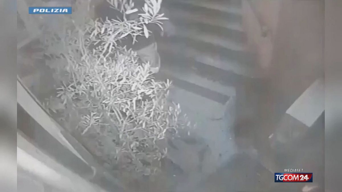 milano rapine a laboratorio orafo e gioielleria 8 misure cautelari