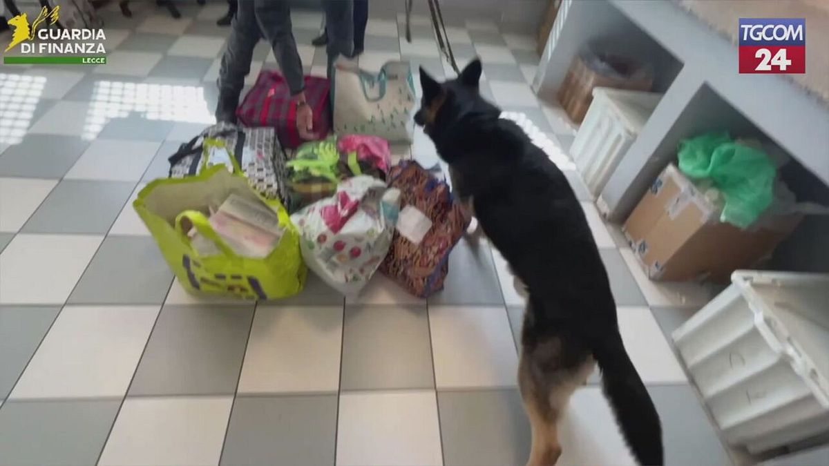 Lecce, sequestrata droga nascosta nei pacchi per i detenuti