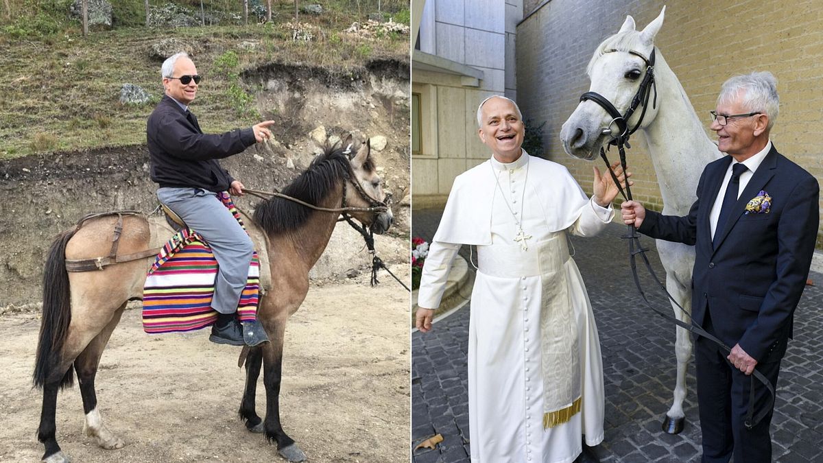 il cavallo donato a papa leone e il dilemma morale aiutare i poveri o rispettare il cantico delle creature
