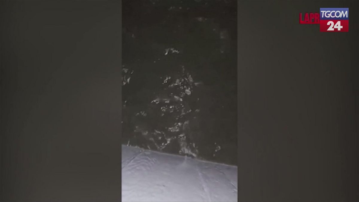 alaska tifone halong sradica abitazione dalle fondamenta