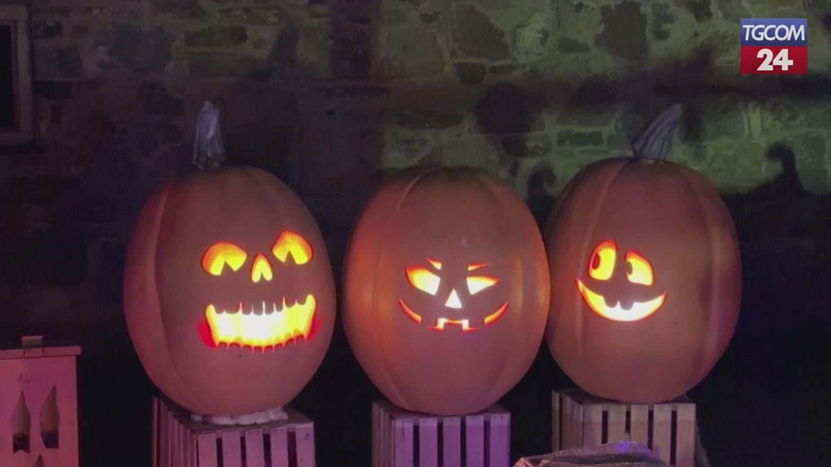 Magia di Halloween a Dublino: il festival delle zucche illumina Newbridge House