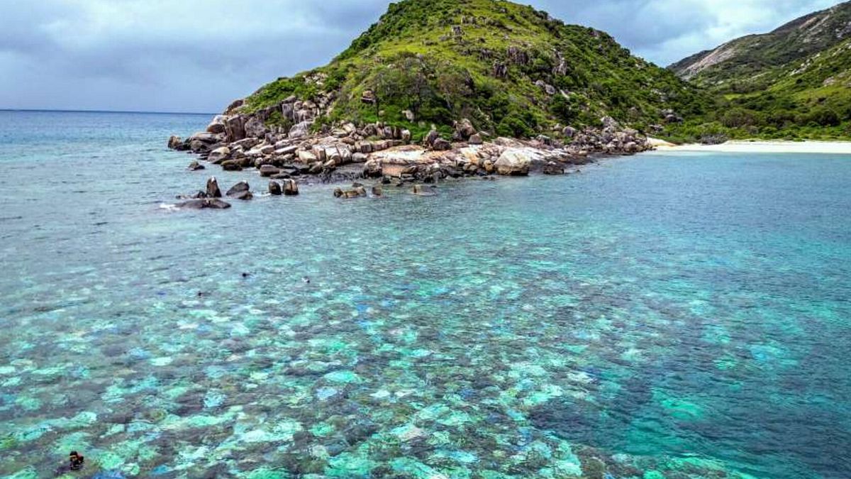 Australia, abbandonata su un