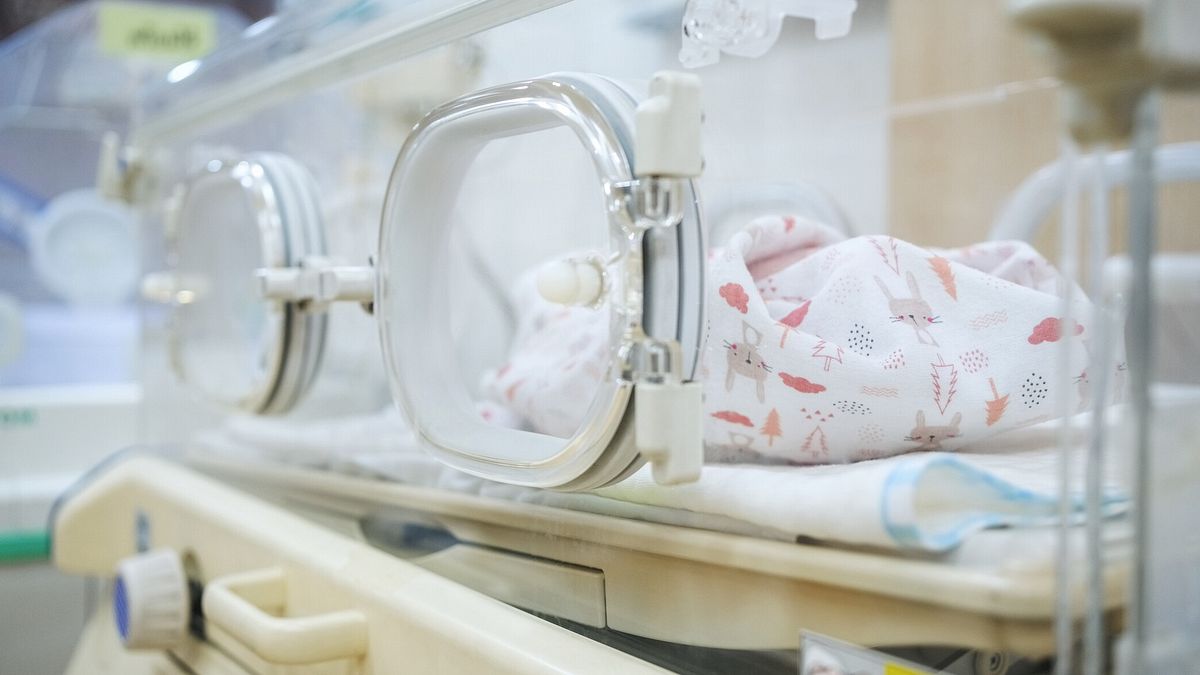 Dramma a Cesena, partorisce in casa e abbandona il neonato accanto ai rifiuti