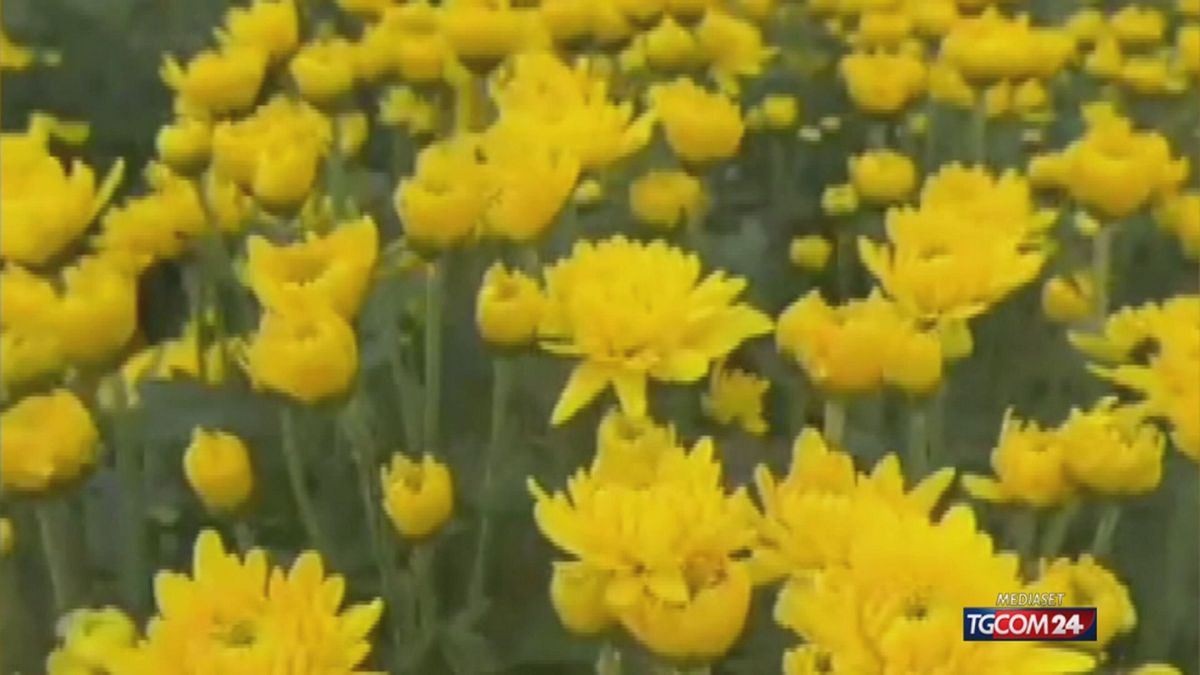 Gli italiani nei cimiteri per omaggiare i propri cari