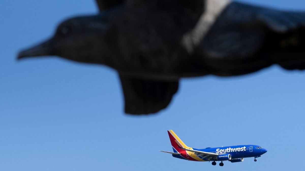 Usa, sfiorata collisione tra Boeing ed eliambulanza a 10 secondi dall