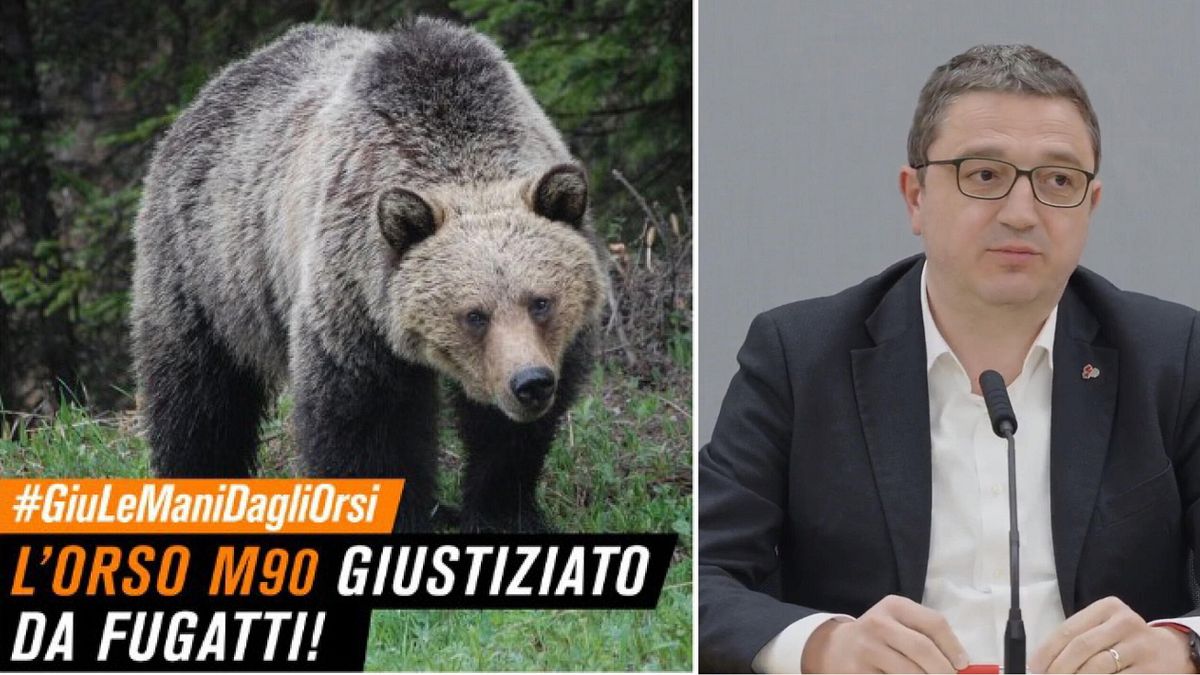 caso orso m90 il gip fu ucciso in modo crudele e ordina l imputazione di fugatti