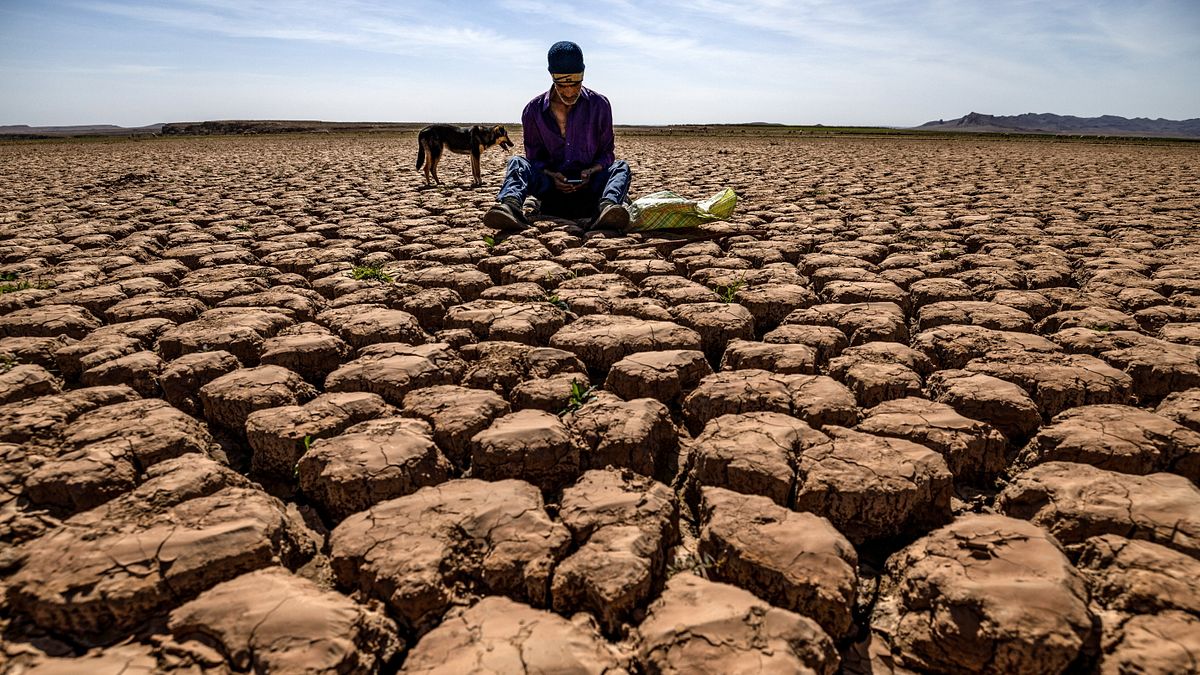 Cop30, rapporto Onu: per il cambiamento climatico già 250 milioni di sfollati negli ultimi 10 anni