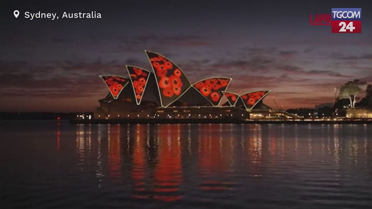 australia 232 il remembrance day la sydney opera house illuminata con i papaveri rossi
