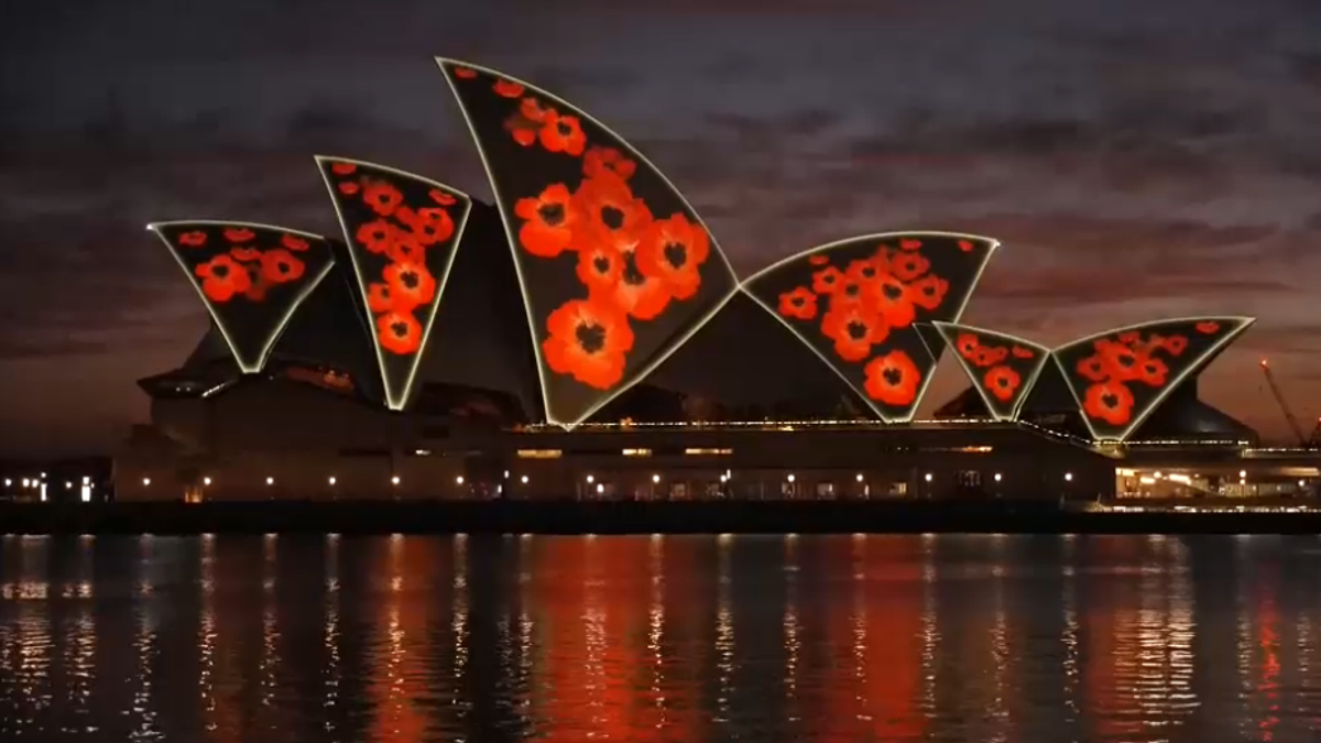 l opera house di sydney si veste di papaveri