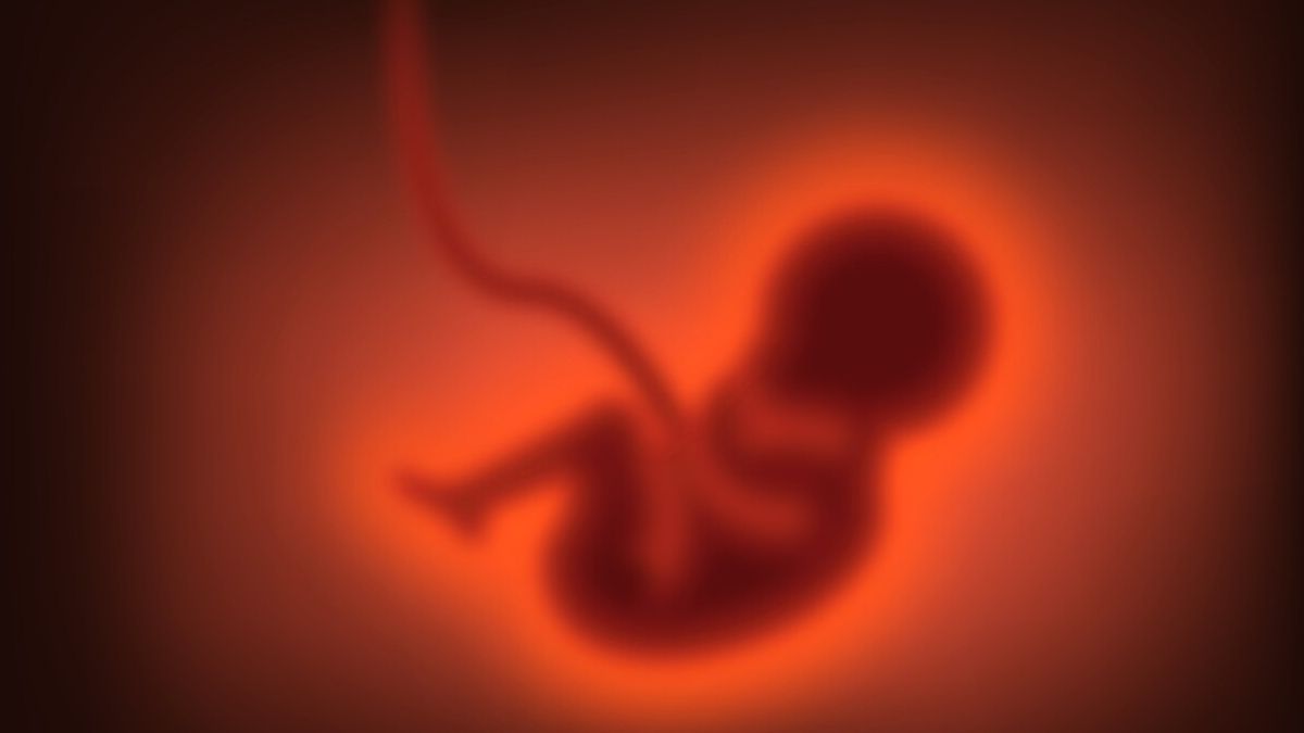 usa la nuova frontiera della genetica nasce la startup dei bambini su misura