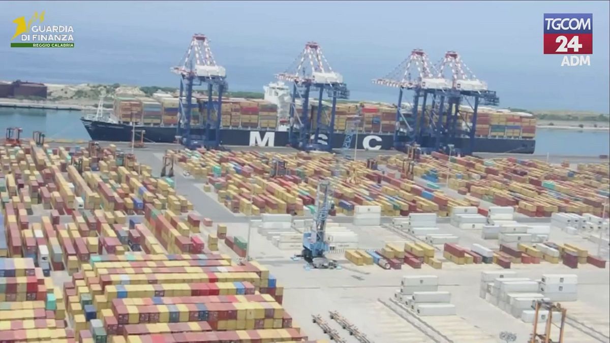 cocaina nei container del pesce il blitz da 30 milioni di euro nel porto di gioia tauro