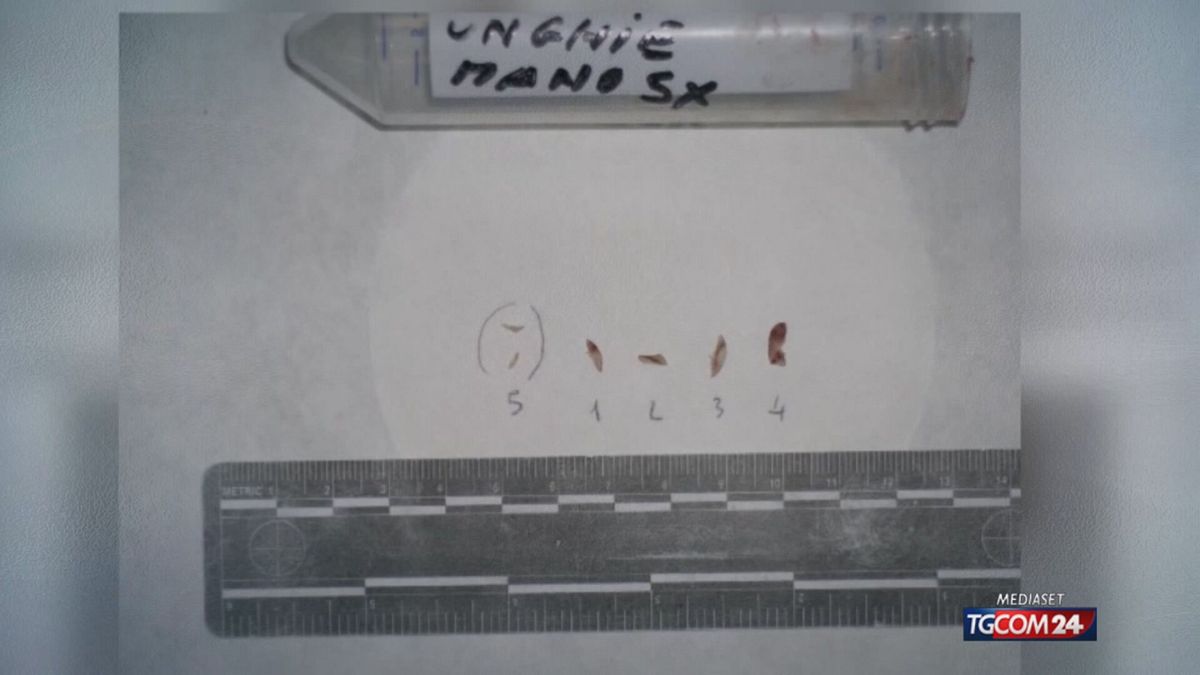 Garlasco, "incompleto e misto il Dna sulle unghie di Chiara Poggi"