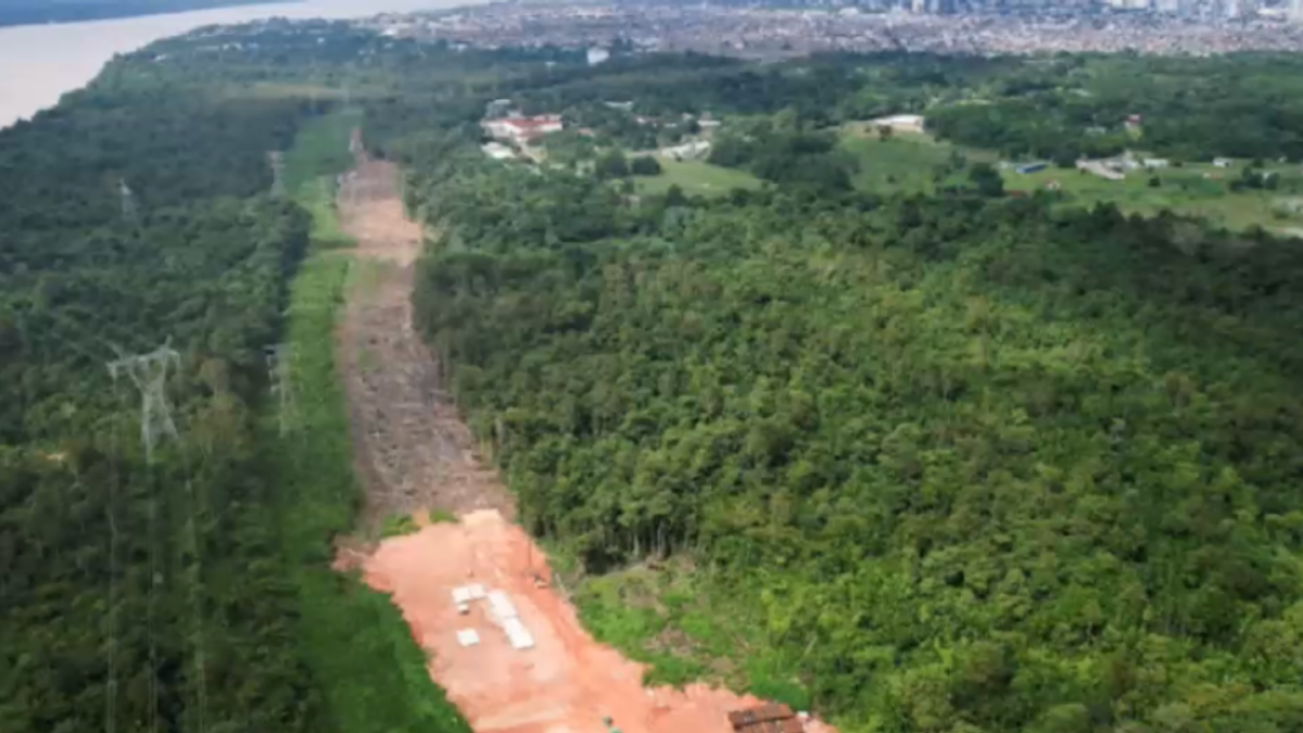 Nel cuore della foresta amazzonica sorgerà una tangenziale