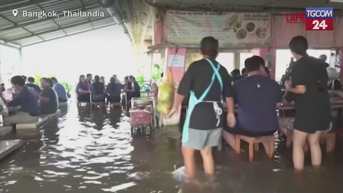 bangkok si mangia nell acqua i pesci nuotano tra i tavoli
