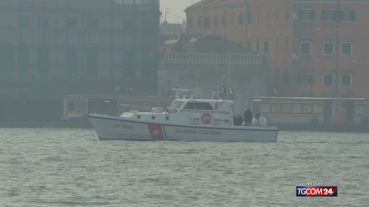 Venedik, yunus Mimmo denize doğru yönlendirildi